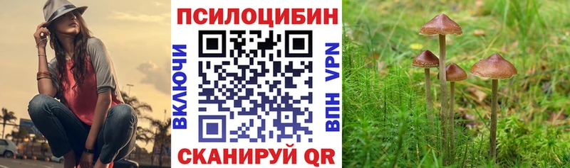 Псилоцибиновые грибы мухоморы  Можга 