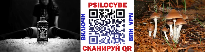 Псилоцибиновые грибы Psilocybe Можга